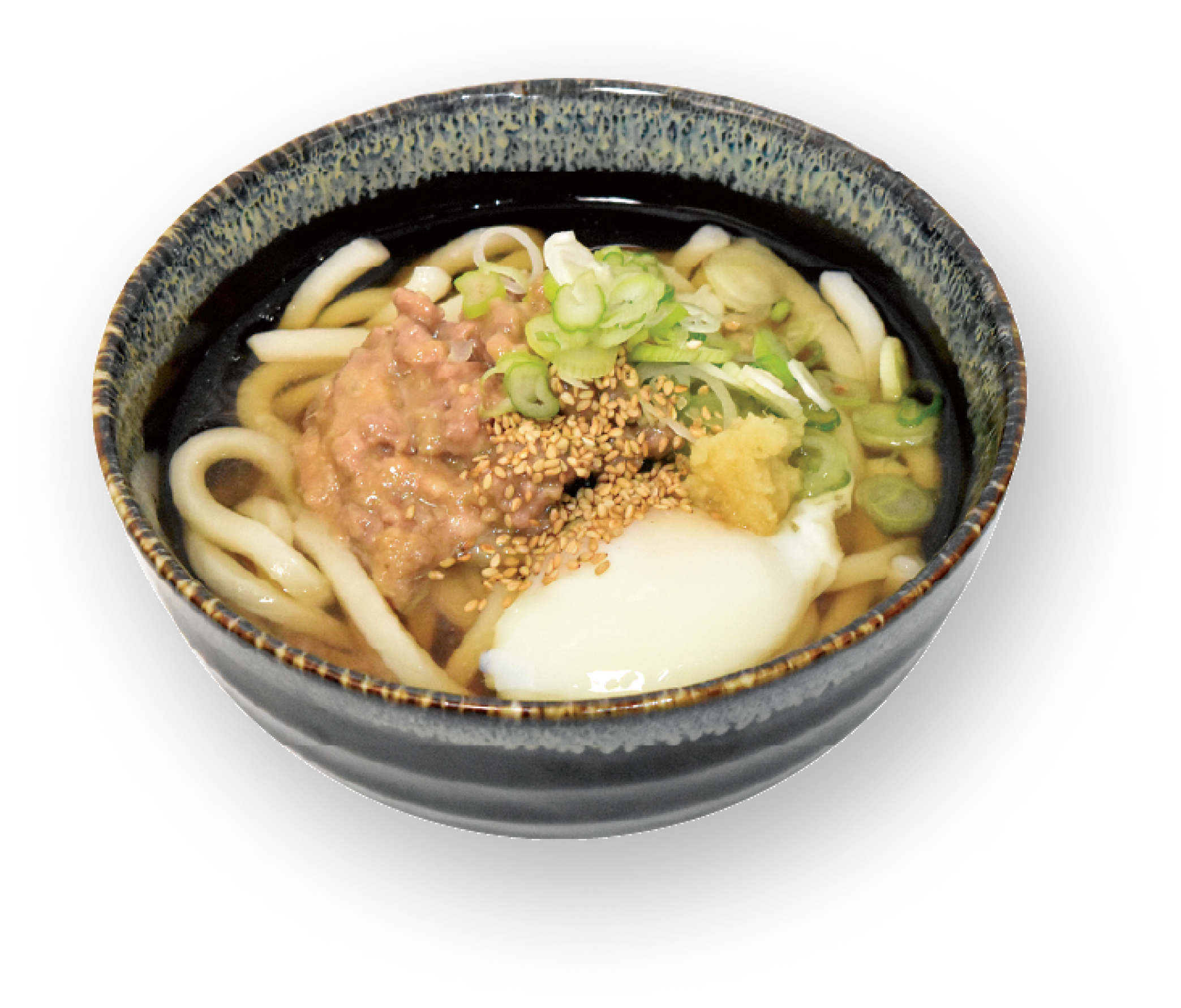 Traditional Udon